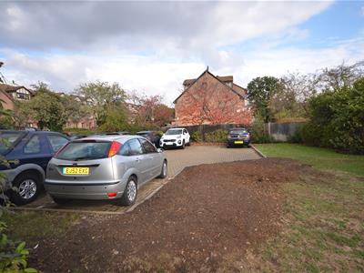 Picture 12